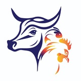 ***❇️***شركت دانش‌بنیان آدرين رشد دايان