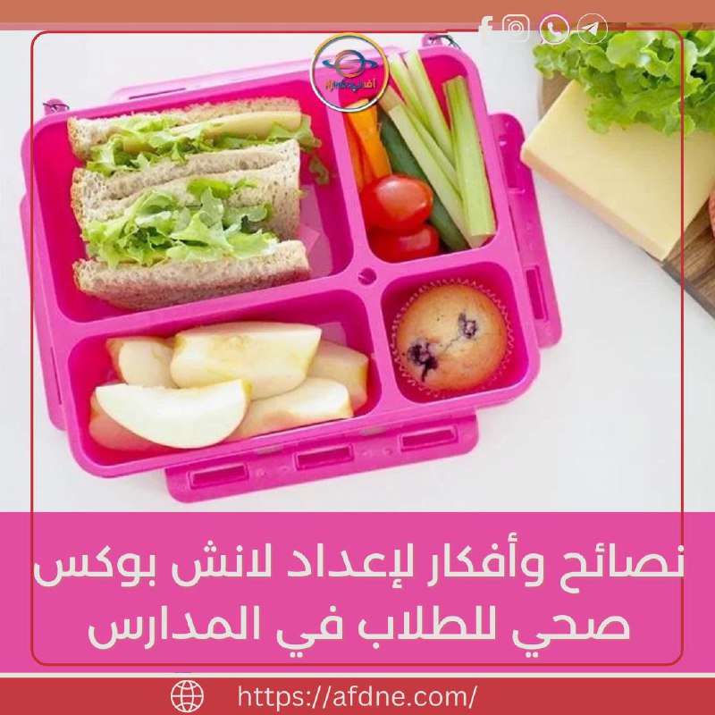 لانش بوكس صحي يعني وقود يوم …