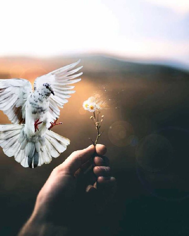 يتولى الله أمر دمعة أودعتها في …
