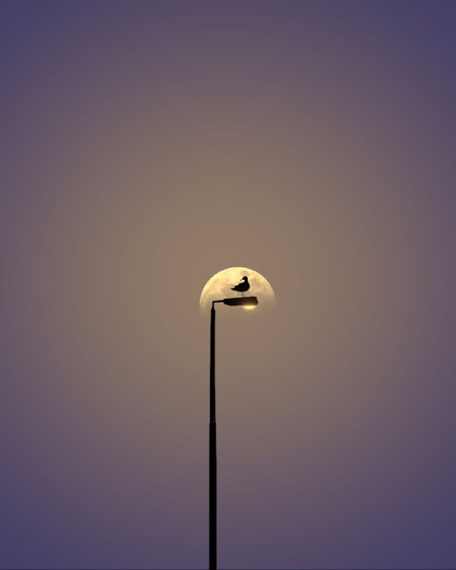 ***🪐***هوافضا و نجوم***🪐***