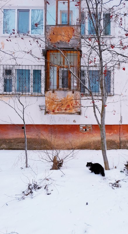 фото прислала пользовательница с ником Татьяна …