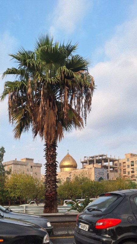 عکاسی در ترافیک تهران