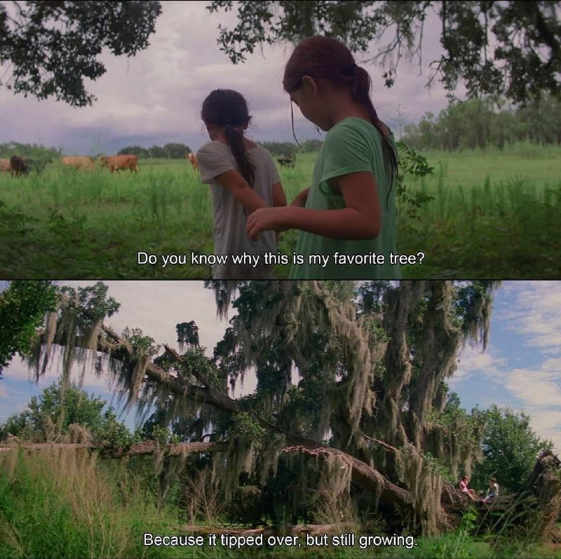 The Florida Project (2017)