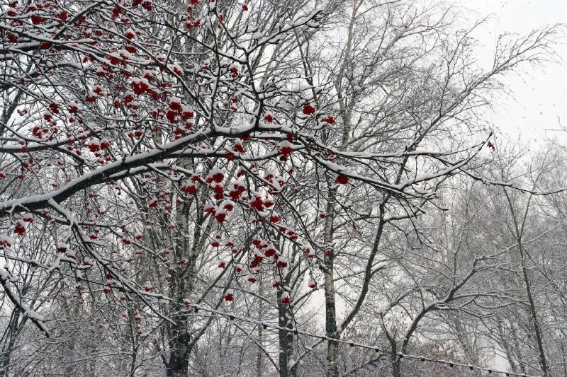 ***☃️*** Бесплатные спортивные тренировки в парках …