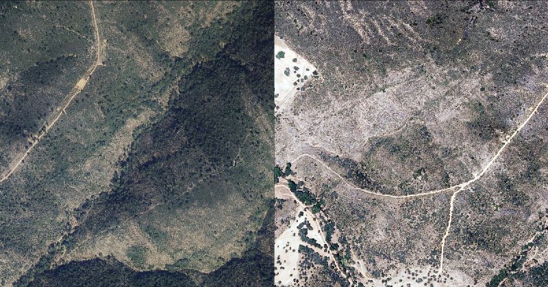 [GESTIÓN VS. CONGESTIÓN](https://www.eldebate.com/campo-y-caza/20250202/parques-nacionales_265685.html)