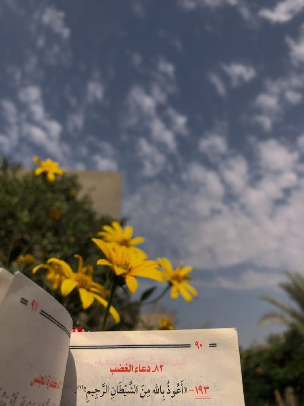 صور حلال•♡