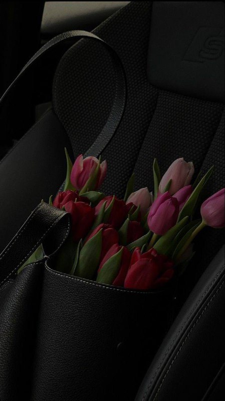 صور حلال•♡