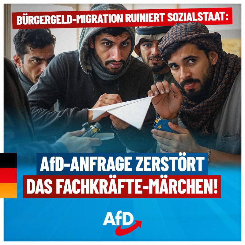 **Bürgergeld-Migration ruiniert Sozialstaat: AfD-Anfrage zerstört das …