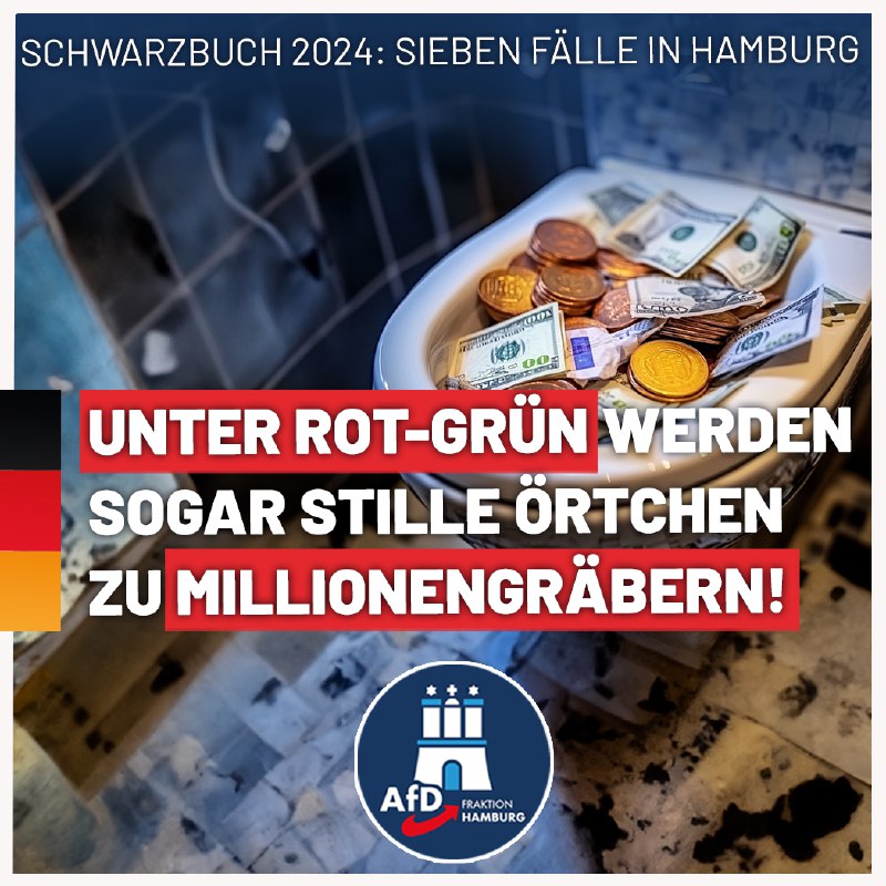 [​​](https://telegra.ph/file/10385323f9978002f949d.png)**Schwarzbuch 2024: Sieben Fälle in Hamburg …