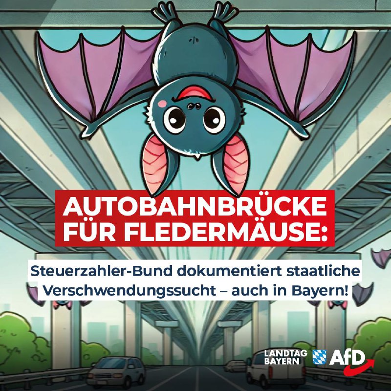 **Autobahnbrücke für Fledermäuse: Steuerzahler-Bund dokumentiert staatliche …