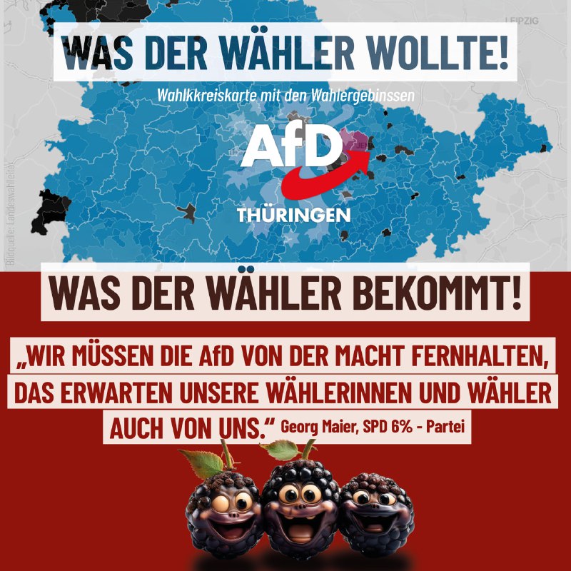 [AfD Thüringen](https://t.me/afdthueringen) ***🇩🇪******💙***