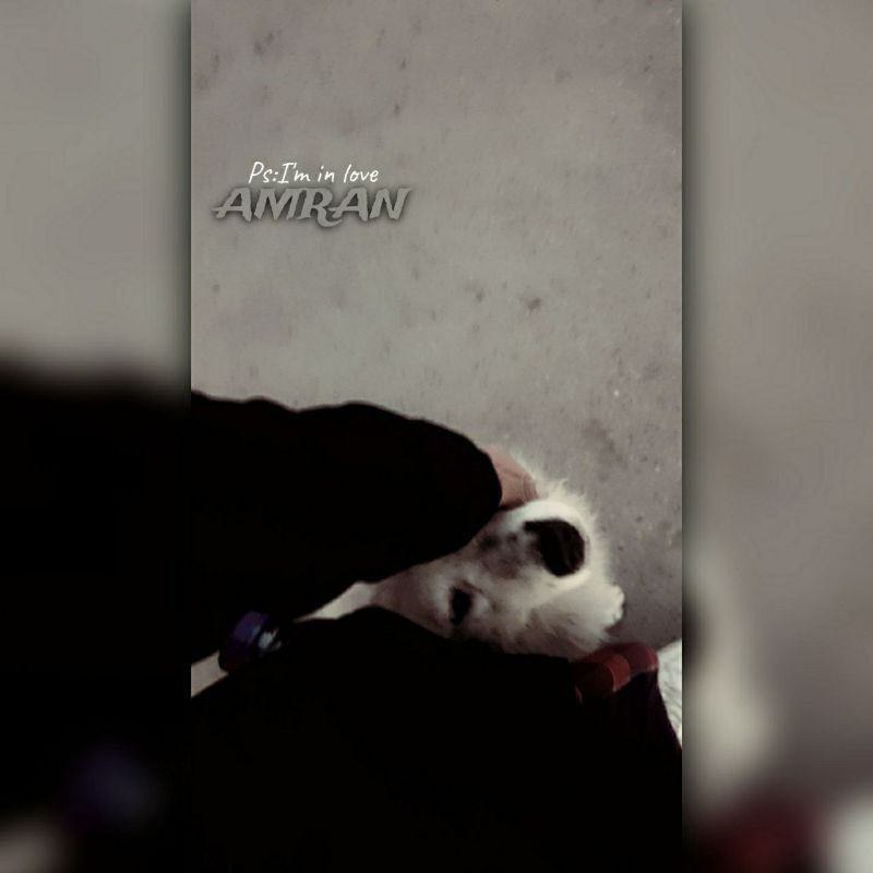 اشتراک کننده شماره : 2