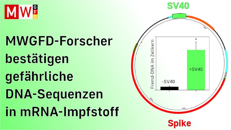 [MWGFD](https://www.mwgfd.org/2024/12/mwgfd-forscher-bestaetigen-gefaehrliche-dna-sequenzen-in-mrna-impfstoff/):