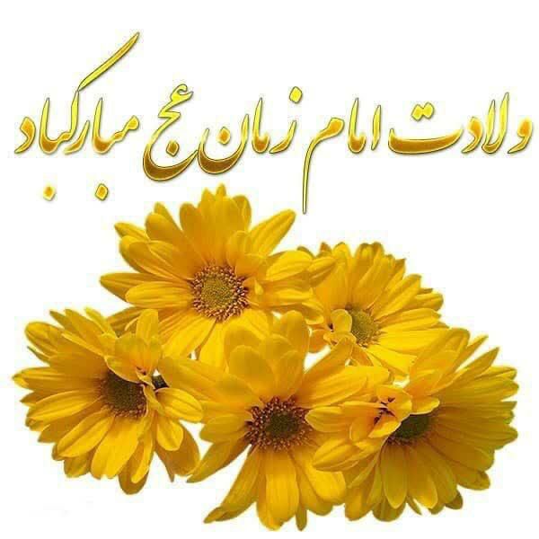 نشریه آفتاب توس