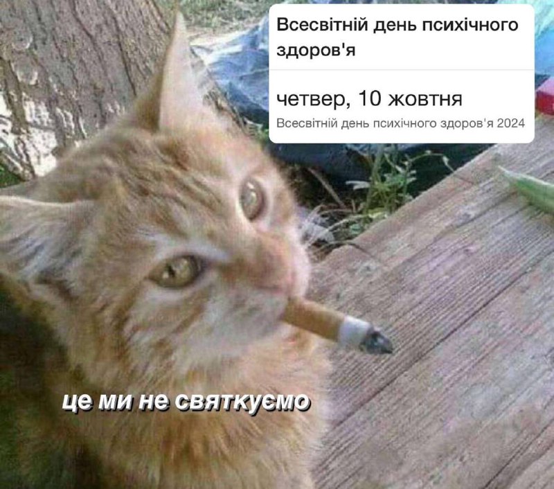 мем спиздив але база