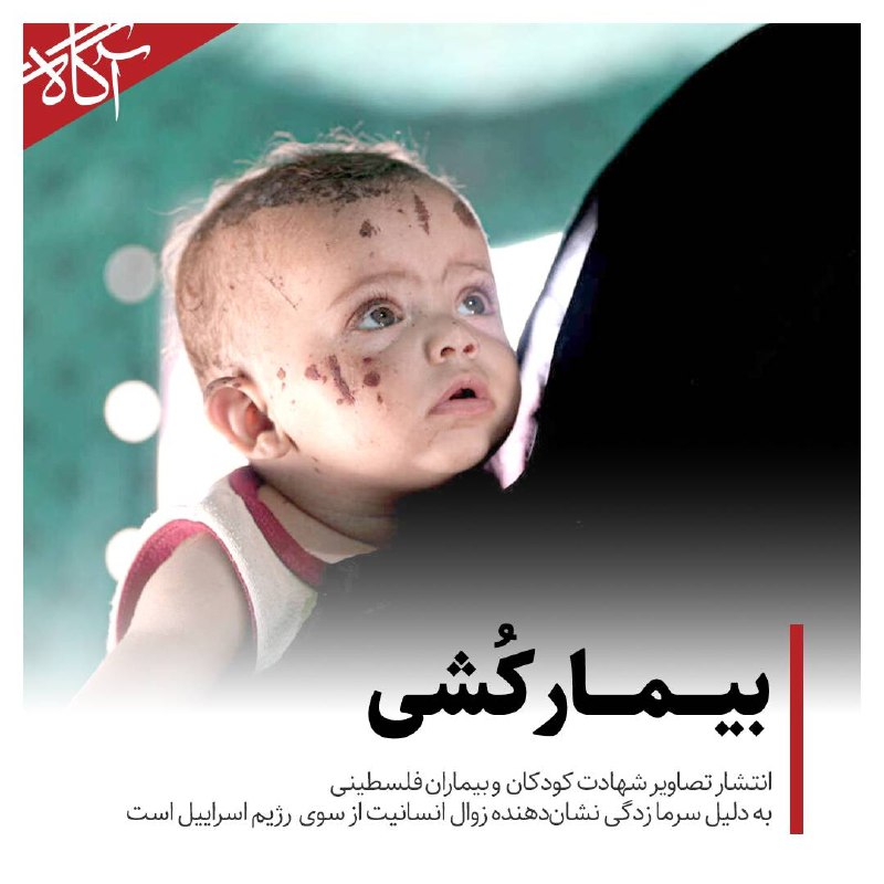 **بیمارکشی**