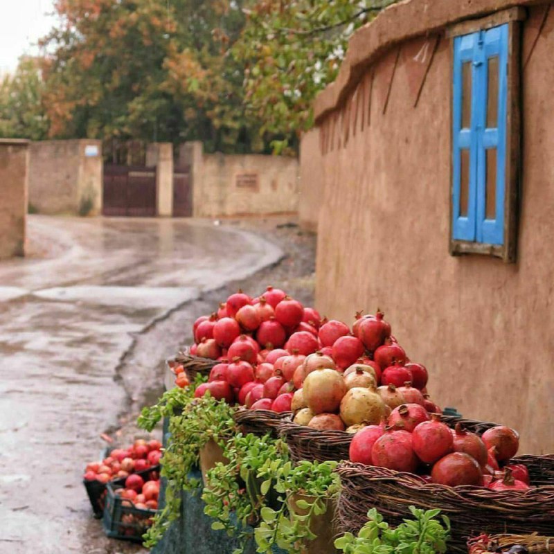 دامان زلف در چمن از ناز …