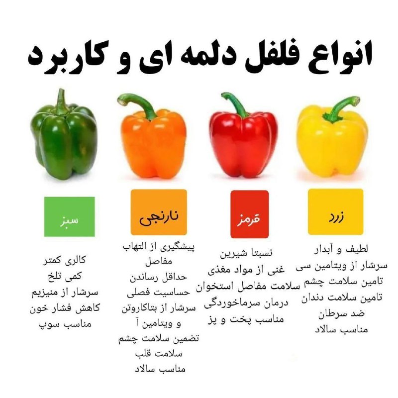 فلفل دلمه رنگی رنگیا فقط برای …