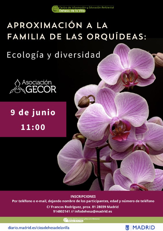 **Conoce el mundo de las orquídeas*****🪻***