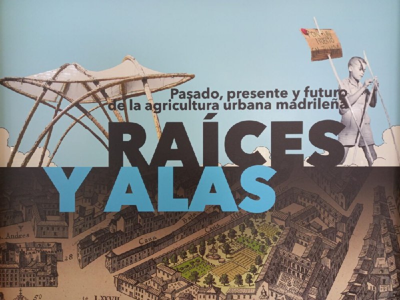 **Exposición: Raíces y Alas**Ya podéis disfrutar …