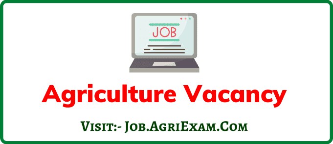 **National Seed Corporation Vacancy**