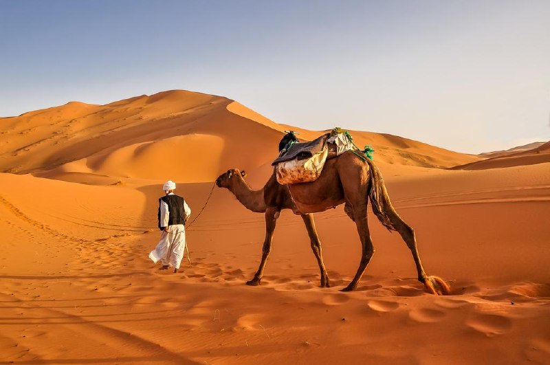اگر مدیریت یک صحرا را به …