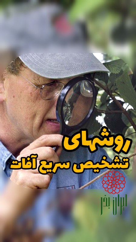 سایت جامع خدمات کشاورزی و فضای …