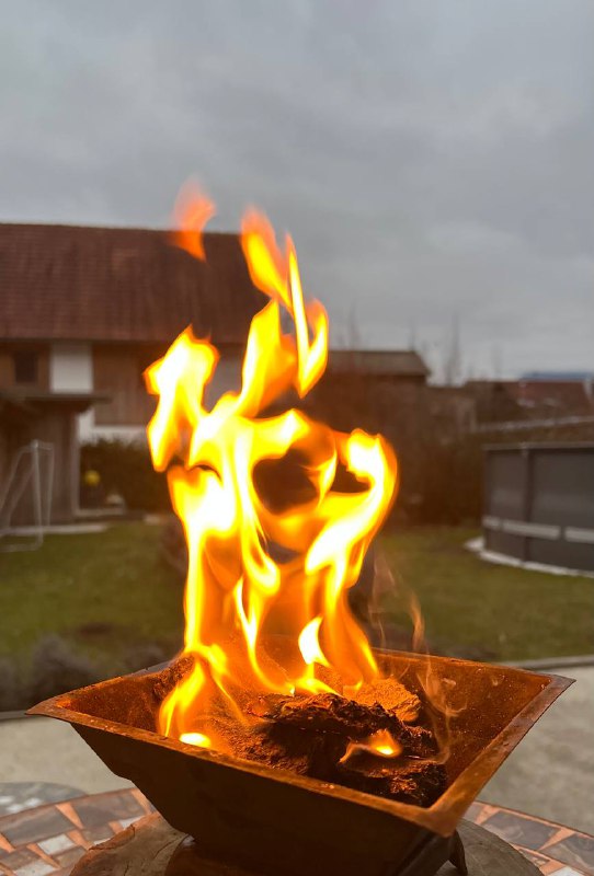 **Verbundenheit des Lebens**