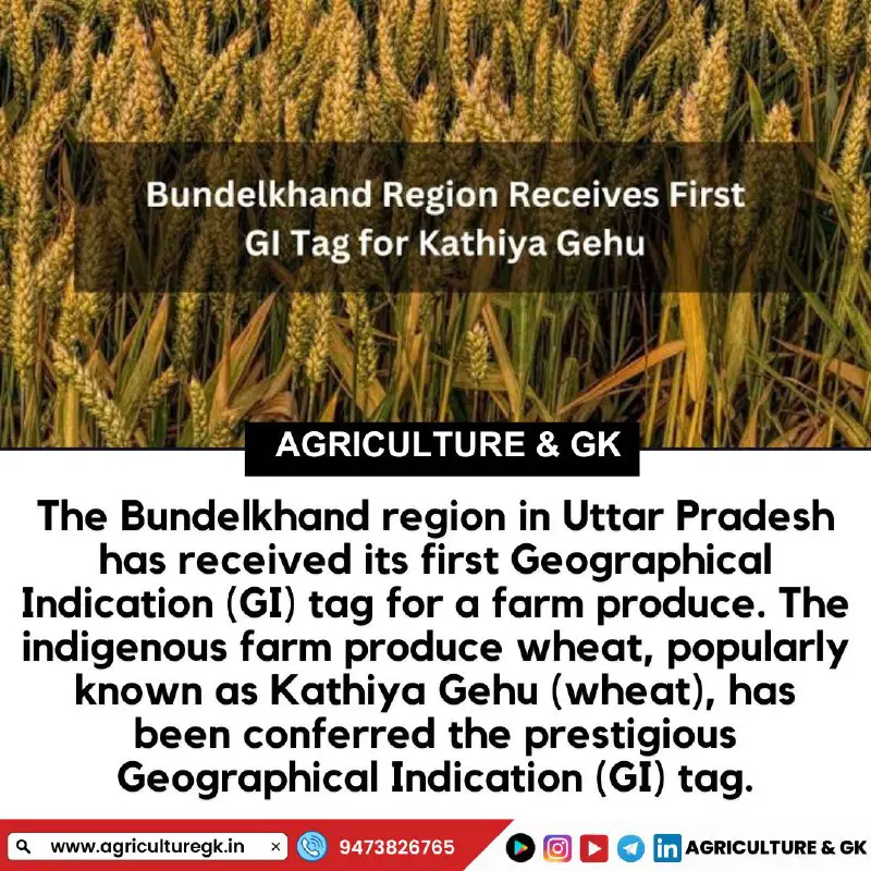 Agriculture & GK