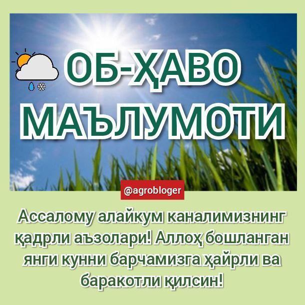 *****⚡️*******УЧ КУНЛИК ОБ-ҲАВО: