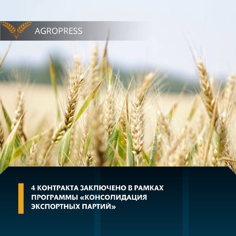 AGROPRESS