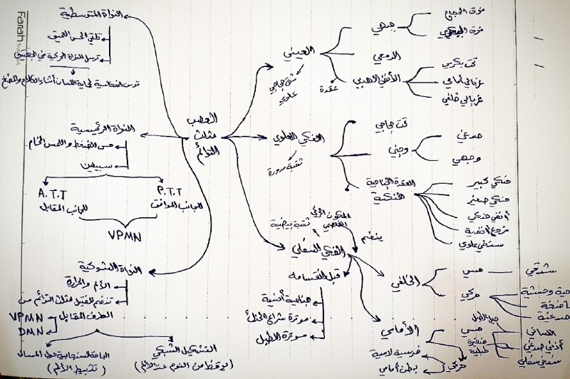 ***🔹*** **مُخطَّط بسيط مُساعِد للعصَب مثلث …