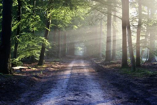 کسی که خودش تغییر می کند …
