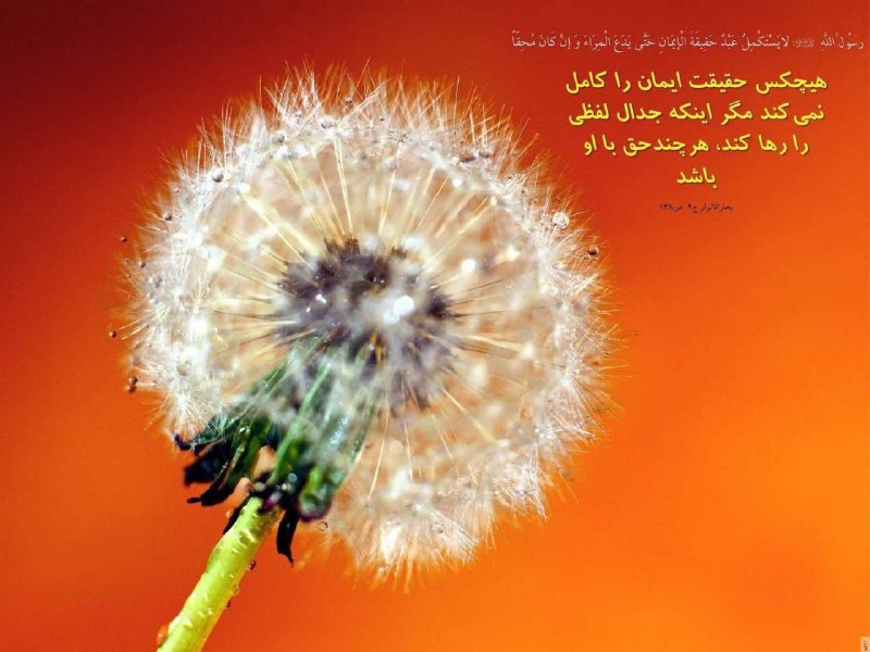 ﷽؛