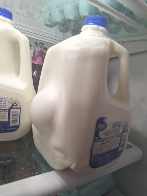 Milk never got pregnant before...