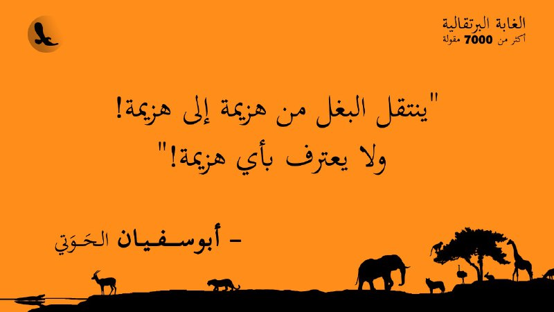 "ينتقل البغل من هزيمة إلى هزيمة! …