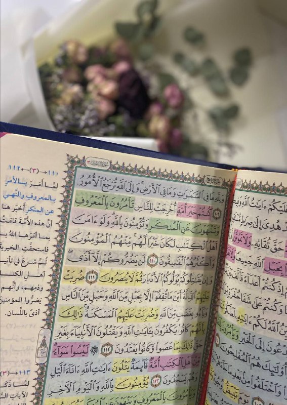 كل البركات بدأت من القرآن،