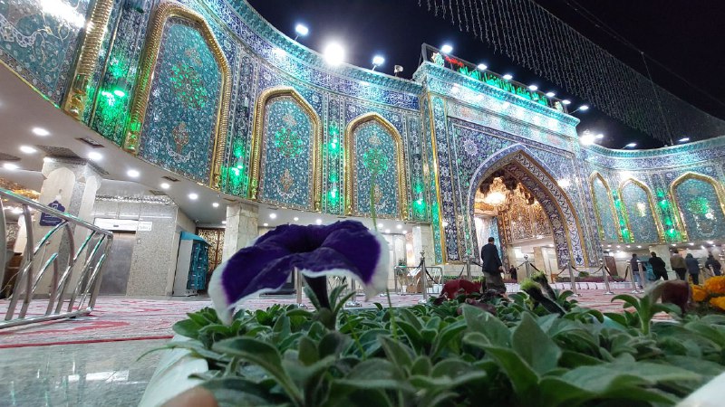 صور اهل البيت صلوات الله عليهم
