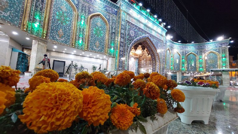 صور اهل البيت صلوات الله عليهم