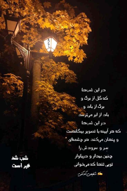 ***?*** [#شب\_بخیر](?q=%23%D8%B4%D8%A8_%D8%A8%D8%AE%DB%8C%D8%B1)