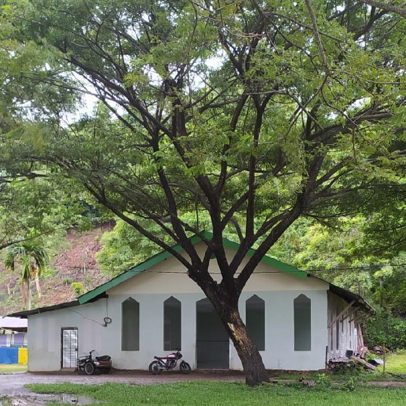 ***🔊*** Sedang Berlangsung