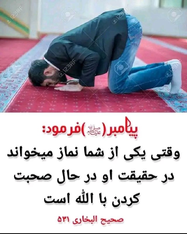 کانال مولانا صاحب احمد فیروز احمدی