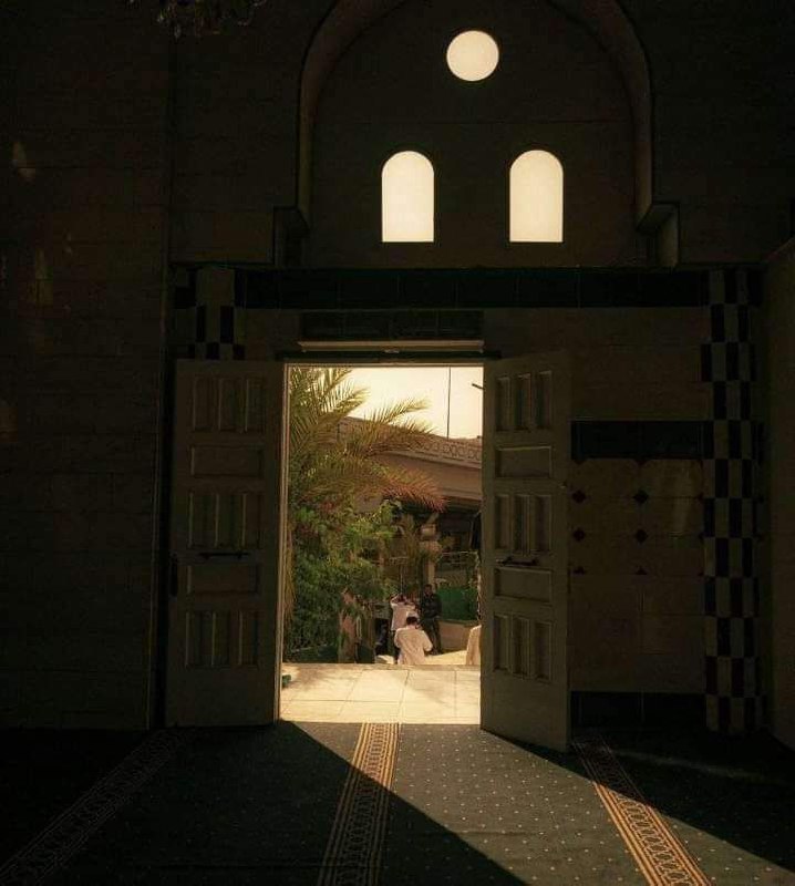 اللَّهُ وَلِيُّ الَّذِينَ آمَنُوا