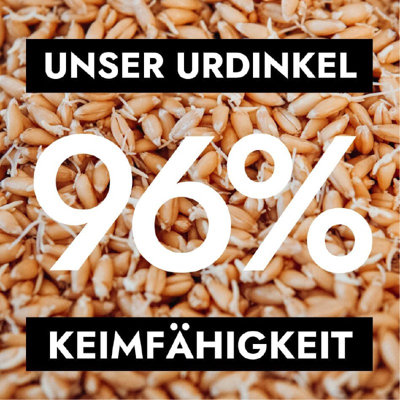 Wenn du im Bioladen Dinkel kaufst …
