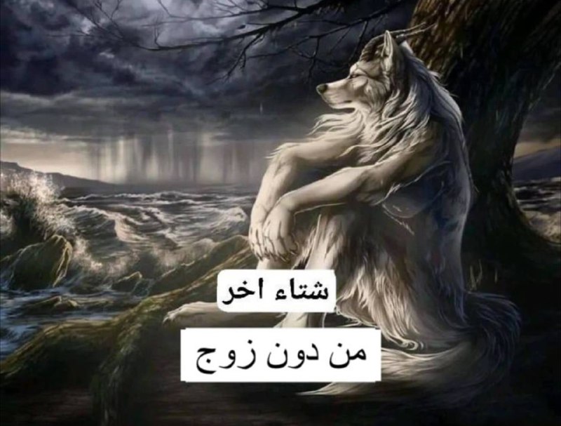 شتقصد ؟