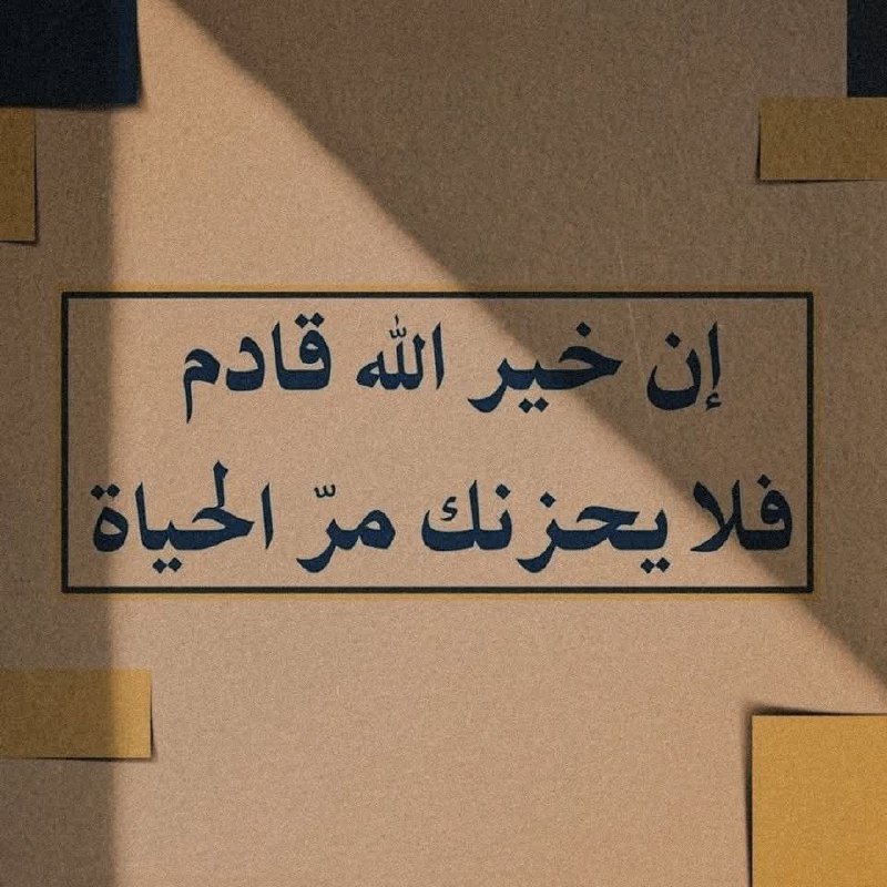 🖊️اقتباسات🌸