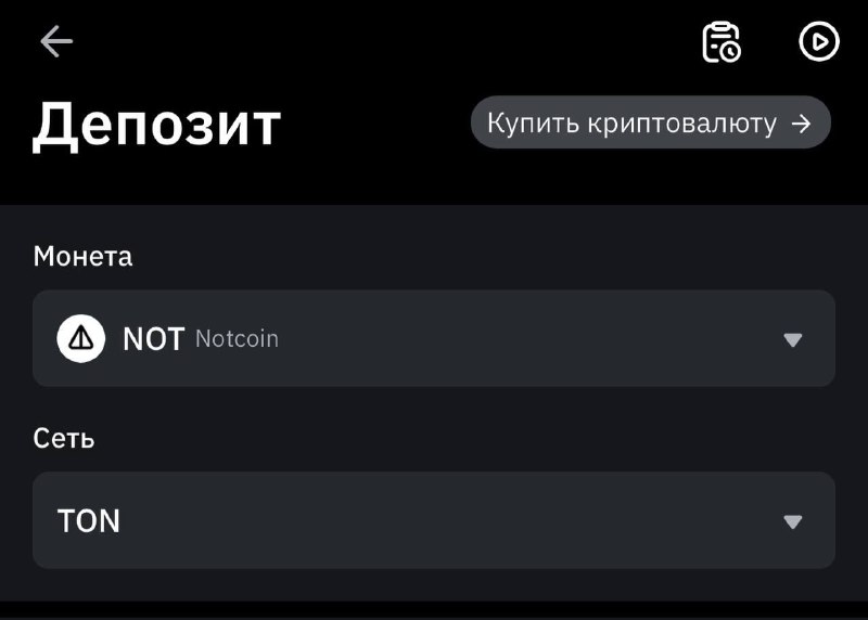 **BYBIT добавил ввод NOTCOIN.**