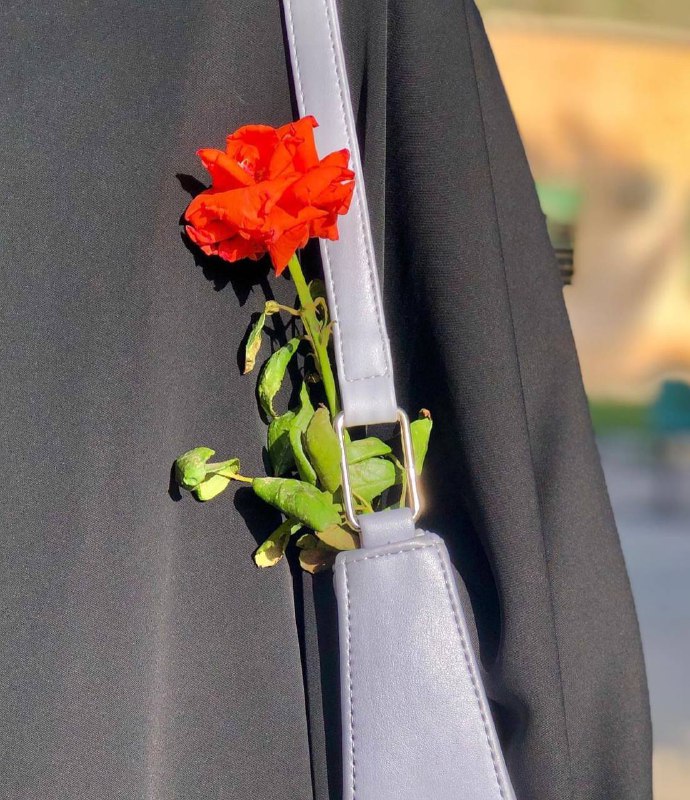 ؏ــڼۨــٻۧــد
