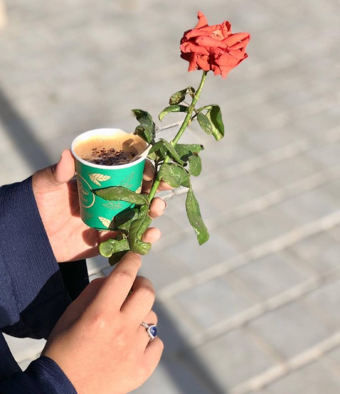 ؏ــڼۨــٻۧــد