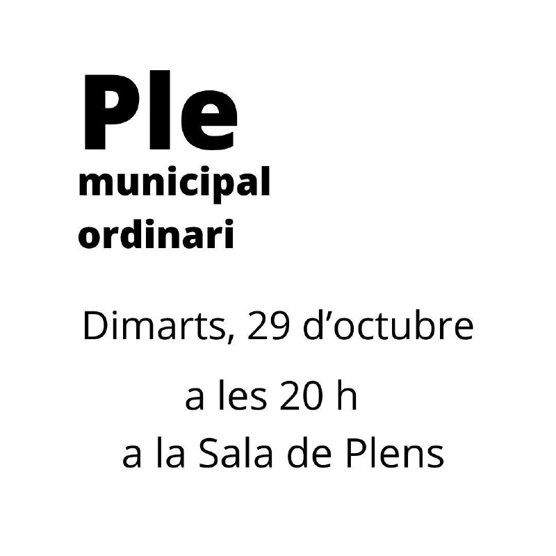 ***📢*** AVUI Ple municipal ordinari